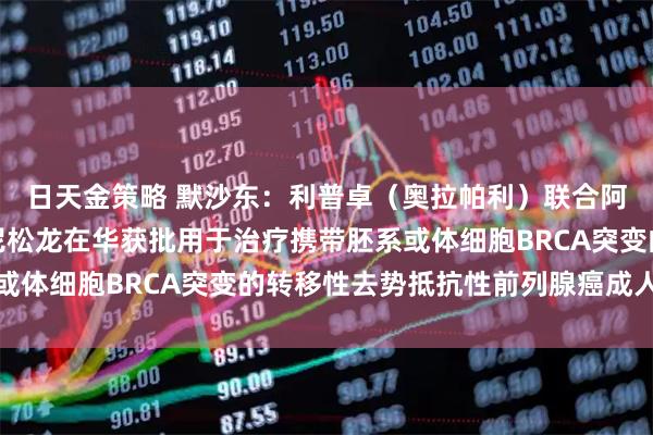日天金策略 默沙东：利普卓（奥拉帕利）联合阿比特龙和泼尼松或泼尼松龙在华获批用于治疗携带胚系或体细胞BRCA突变的转移性去势抵抗性前列腺癌成人患者