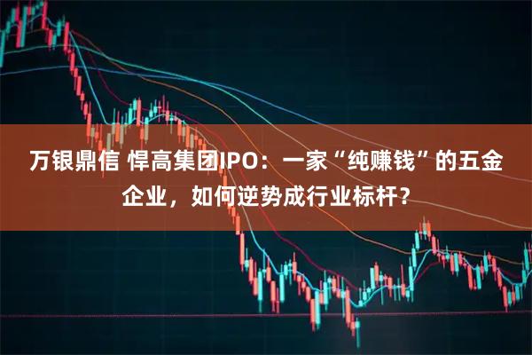 万银鼎信 悍高集团IPO：一家“纯赚钱”的五金企业，如何逆势成行业标杆？