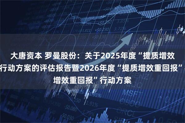 大唐资本 罗曼股份：关于2025年度“提质增效重回报”行动方案的评估报告暨2026年度“提质增效重回报”行动方案