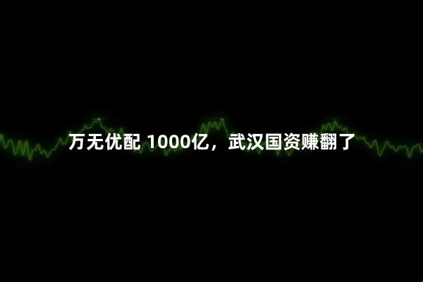 万无优配 1000亿，武汉国资赚翻了